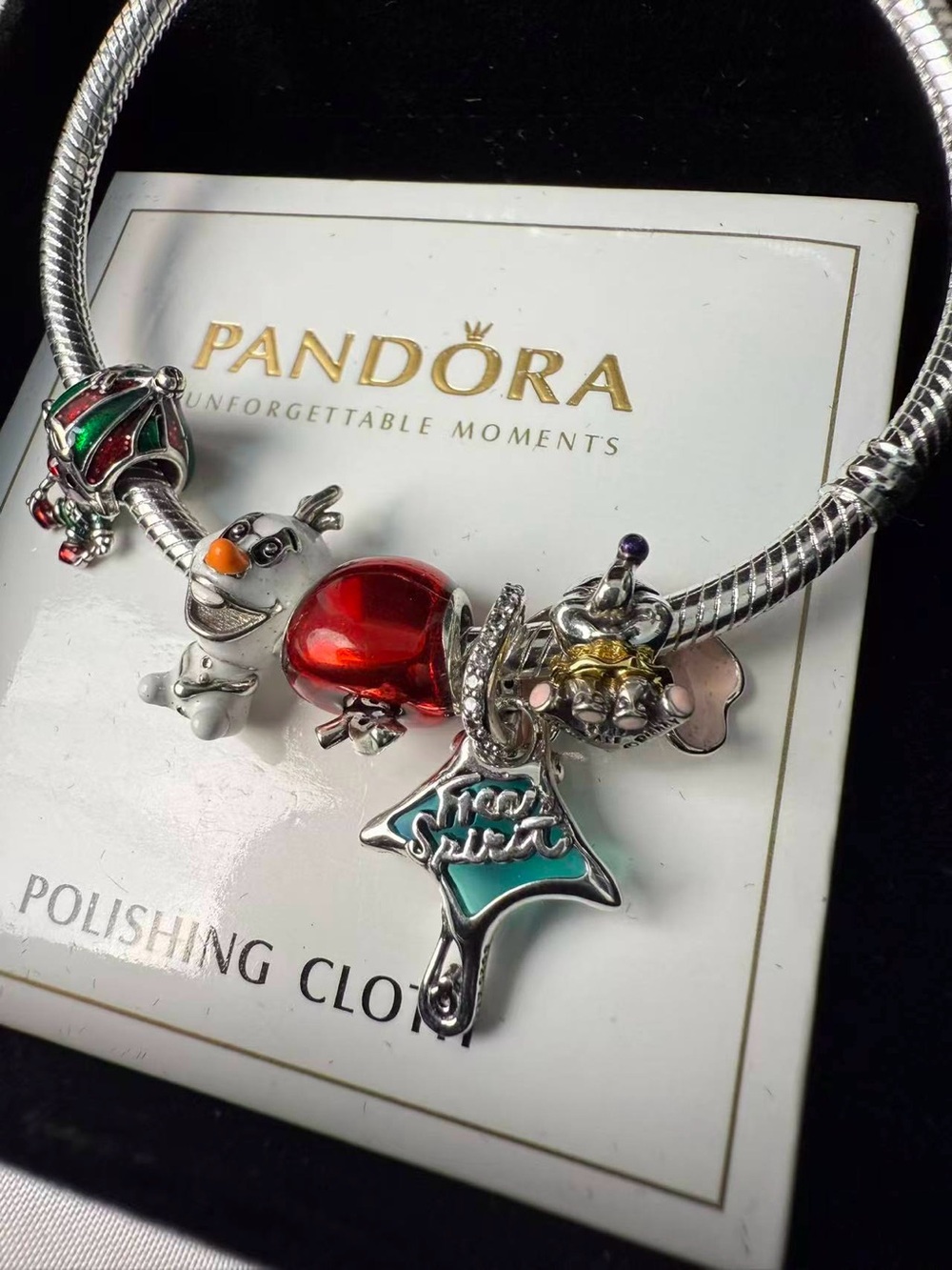 Pandora Silver Charm Bracelet with Red, Green & Turquoise Accents